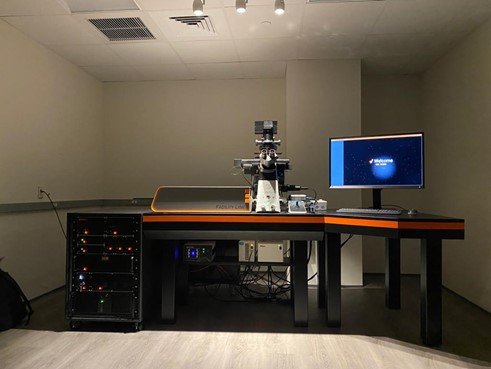 Abberior STED super-resolution microscope
