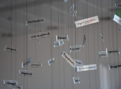 clear rectangles with words written in black hanging from clear monofilament