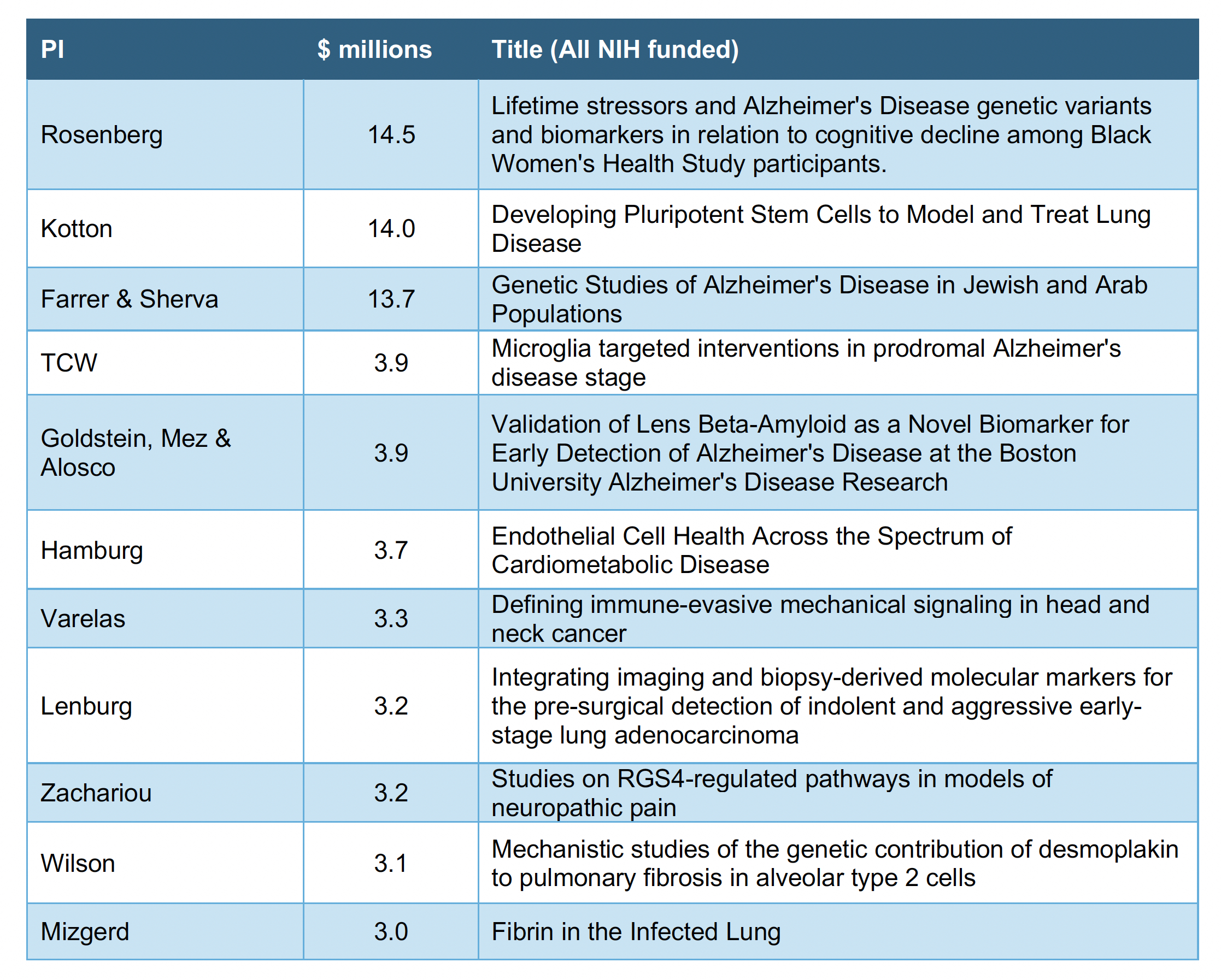 Table of the largest new/renewal research grants for the 2024 academic year