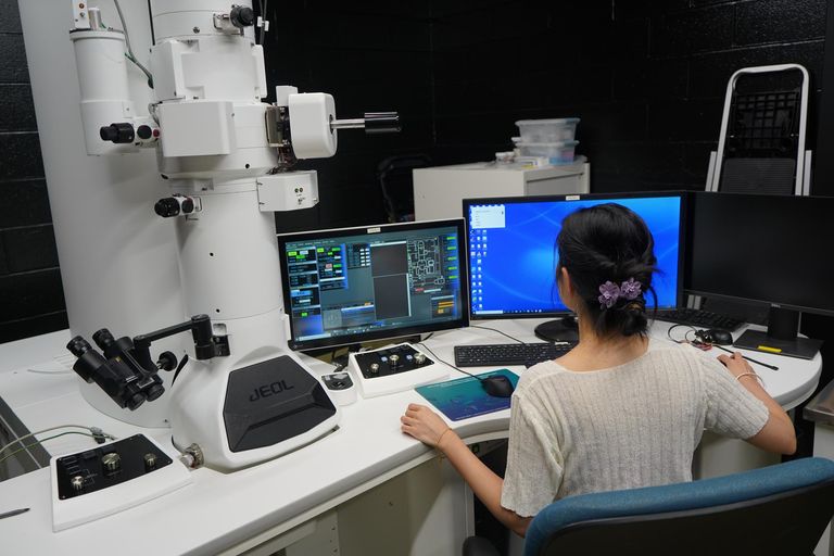 Medical Student looking at diagrams and conducting research at a computer.