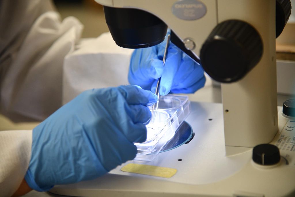 Medical Student wearing gloves analyzing matter