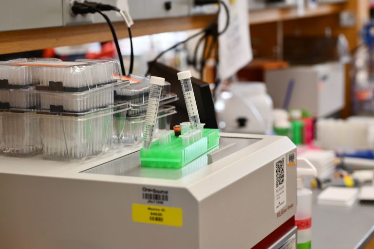 Laboratory setting with various scientific equipment, including test tubes, pipette tips, and bottles.
