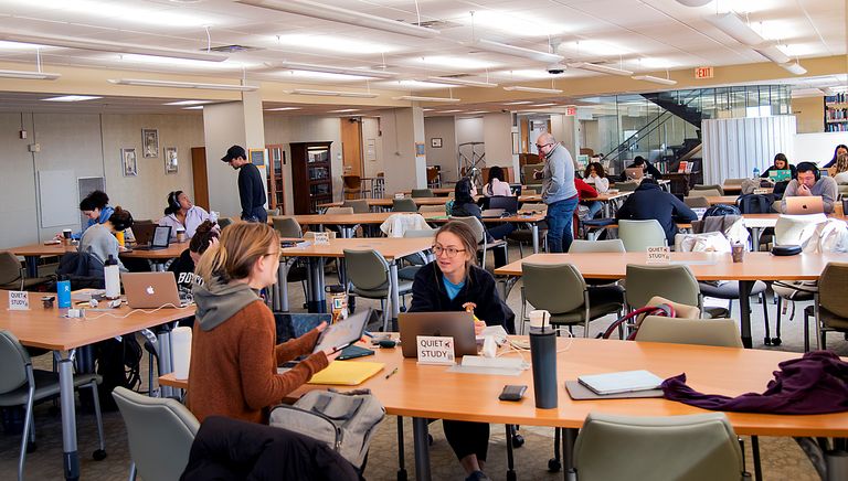 Students studying in Alumni Medical Library.