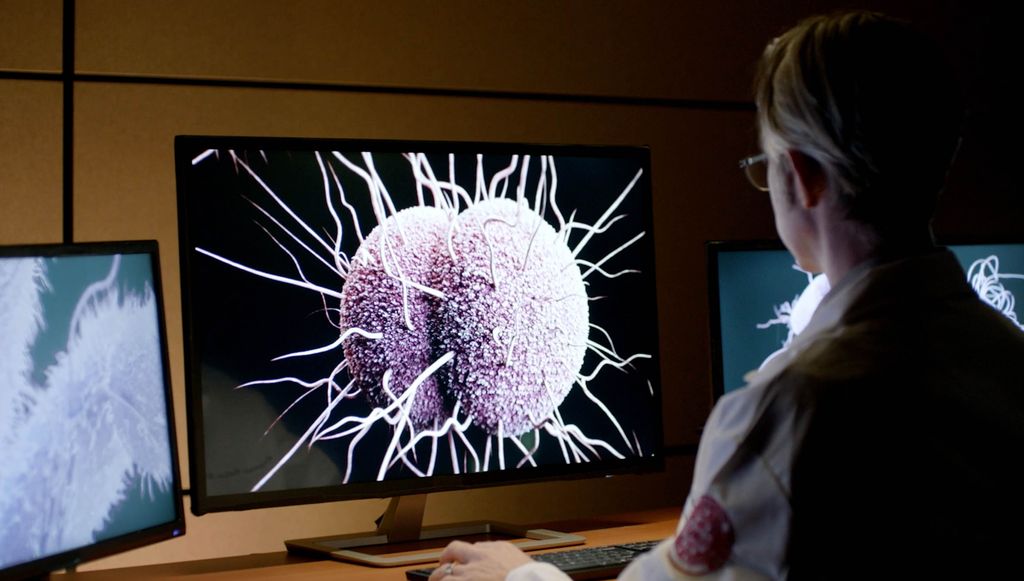 A researcher examining a highly magnified image of a cell on a computer monitor in a lab.