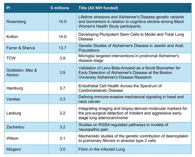 Table of the largest new/renewal research grants for the 2024 academic year