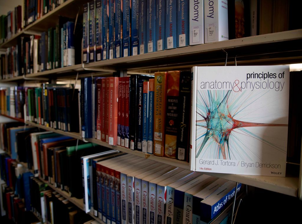 Library shelf filled with medical and anatomy books