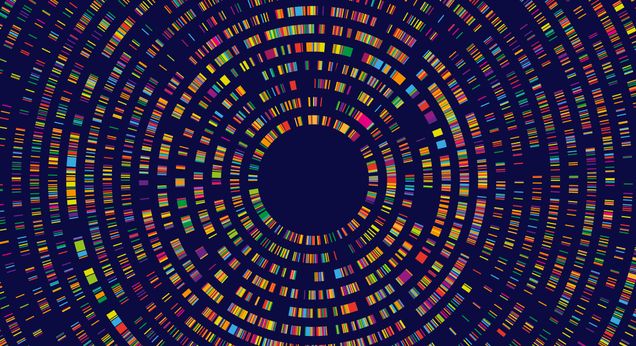 Graphic illustration of genetic data represented as colorful, radial patterns resembling a circular barcode. The vibrant colors and structured layout symbolize the complexity and diversity of genetic information.