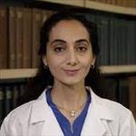 Saran Lotfollahzadeh