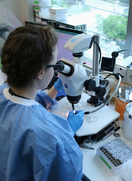 Woman at microscope
