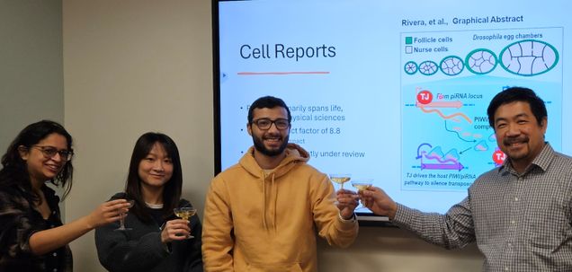 Lau Lab Team member gathered and toasting their project