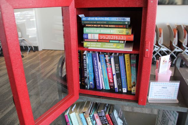 small red bookcase filled with colorful books