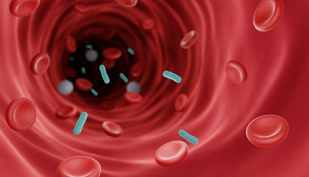 An illustration of sepsis in a vein with red blood cells