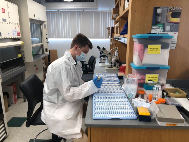 Student in whitecoat at bench in Dr. Taylor's lab.