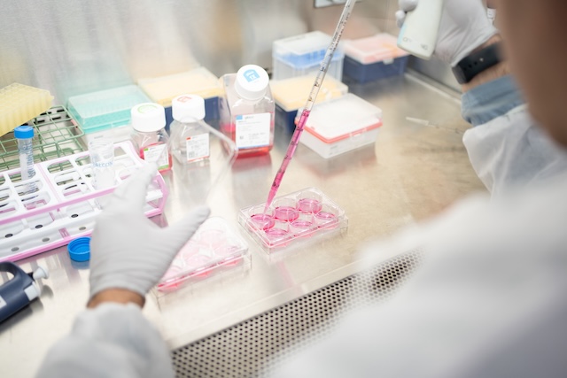closeup of test tubes and pipette with gloved hands
