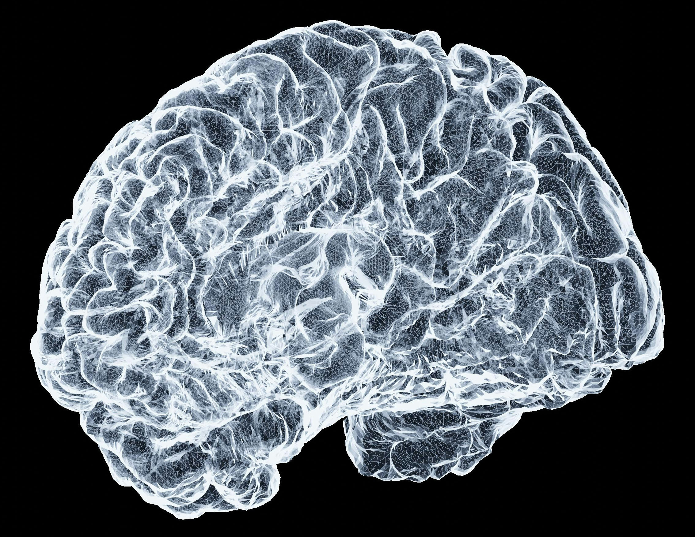 white image of brain against black background