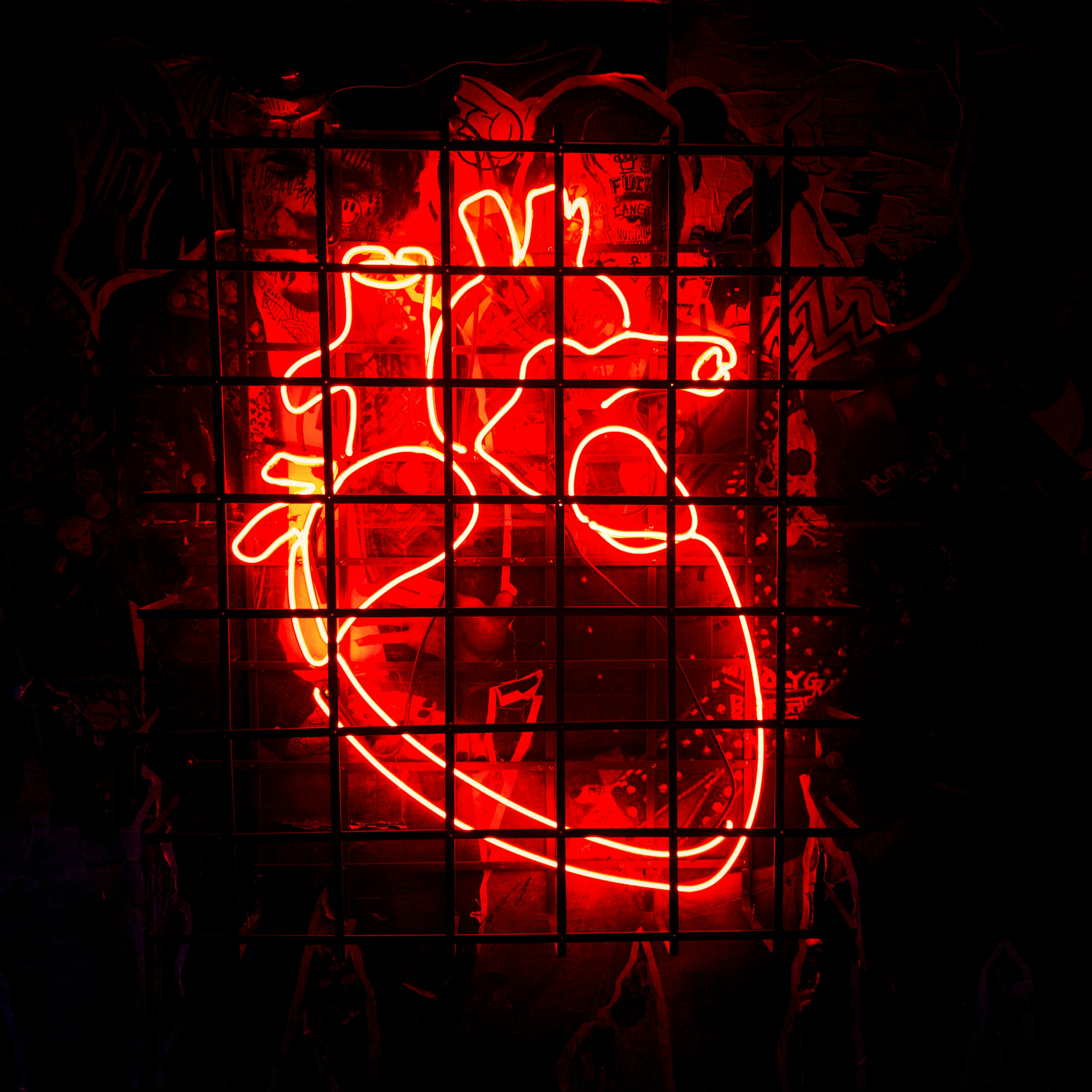 Heart outlined in red against black background