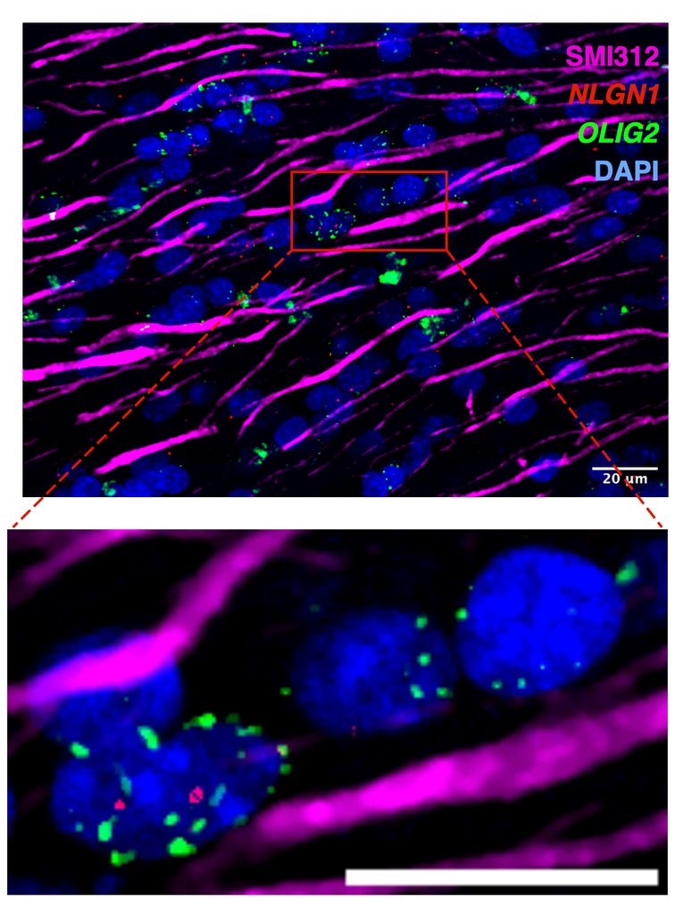 magenta, blue, red, green against black background representing science discussed in the story