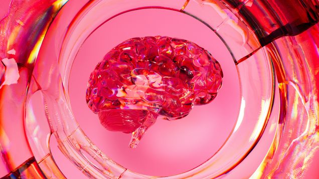 Pink representation of brain