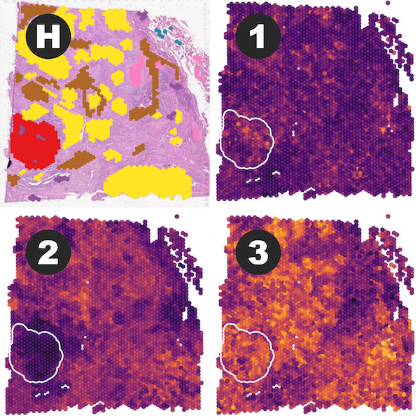 Four boxes labeled h, 1, 2, 3 in different shades of purple, yellow orange and red