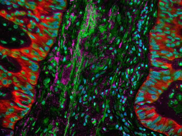 black background with dots and lines ofred, green blue pink colors