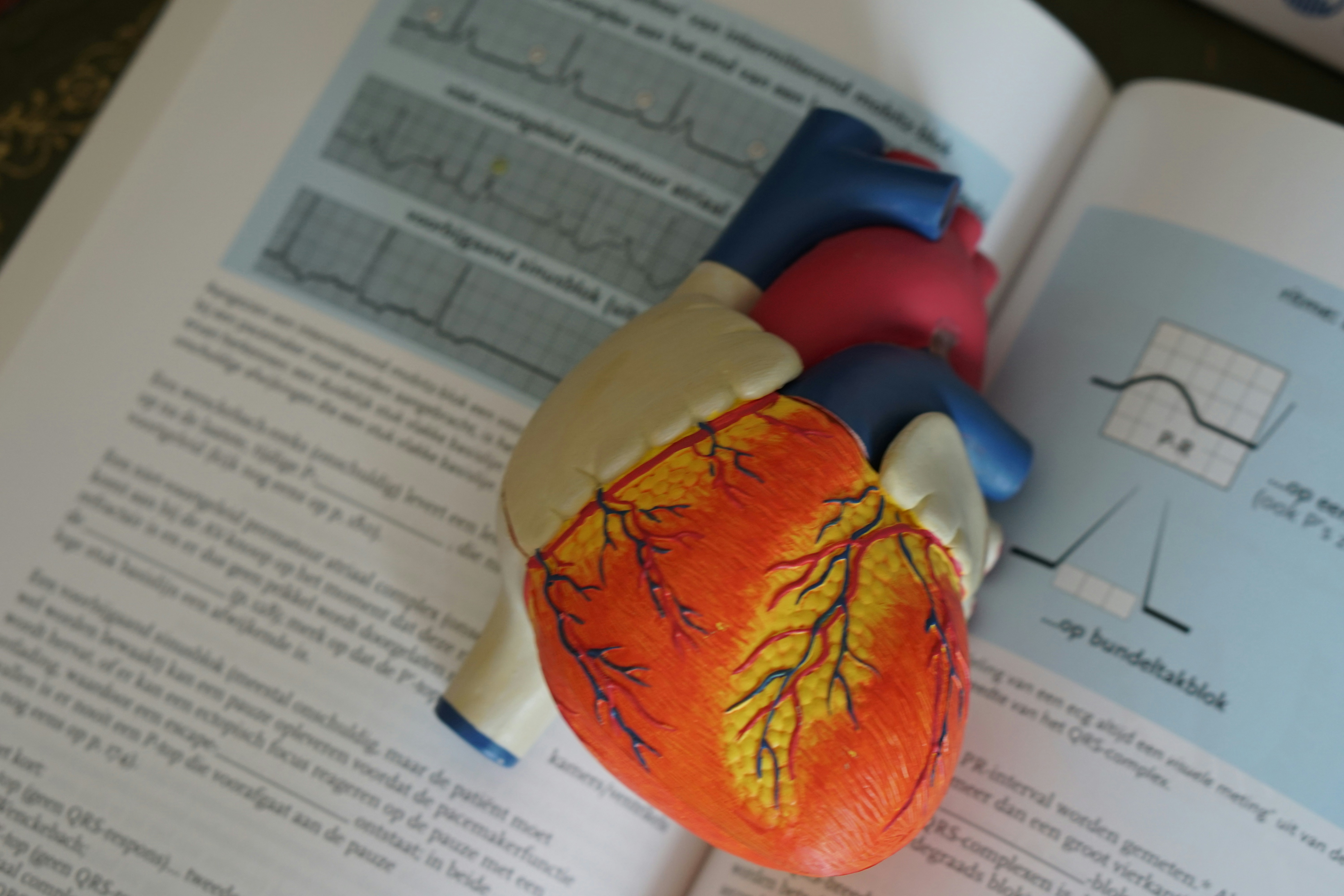 model of multicolored heart sitting on top of textbook page