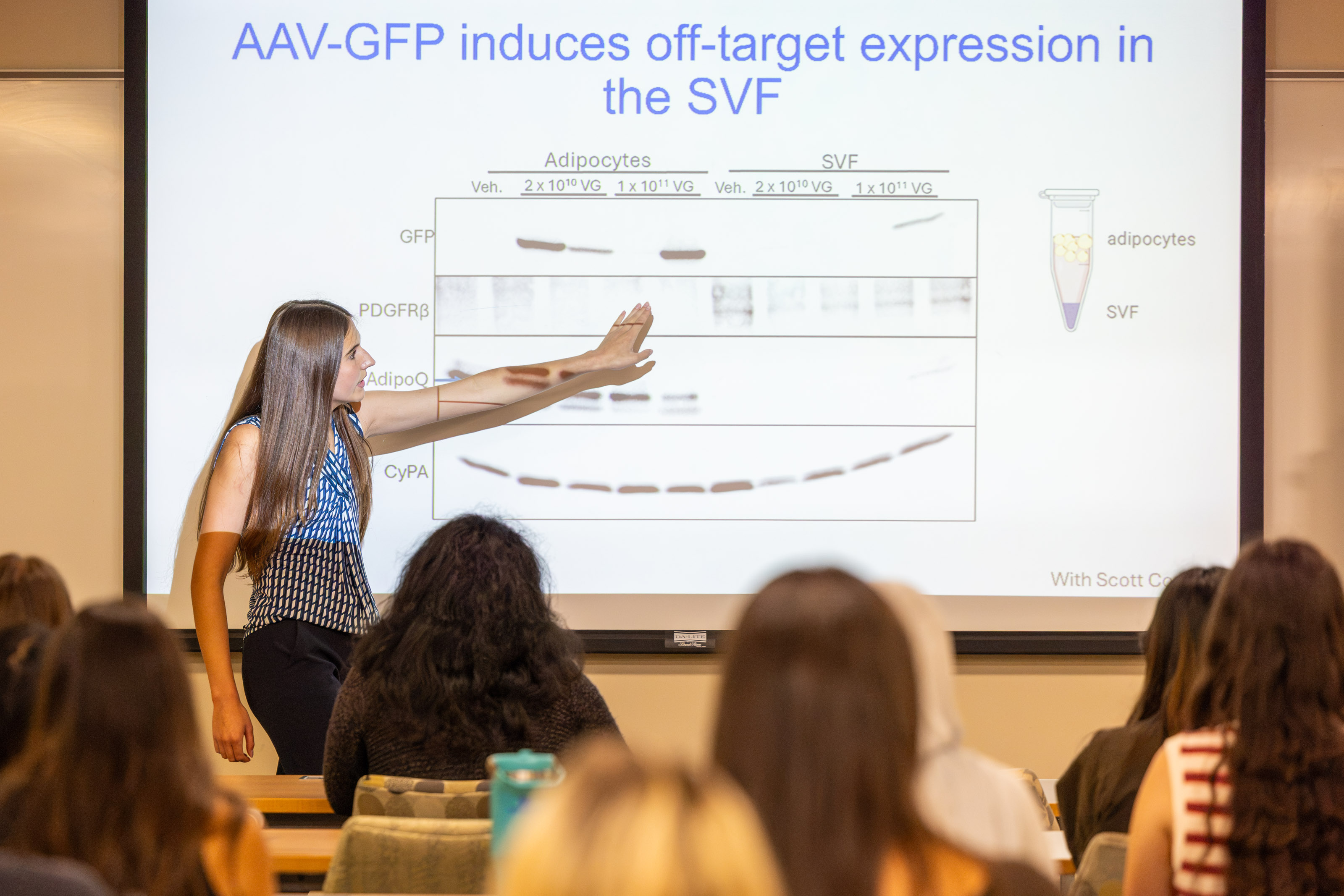 Woman presenting at front of room with backs of heads of others watching in foreground.