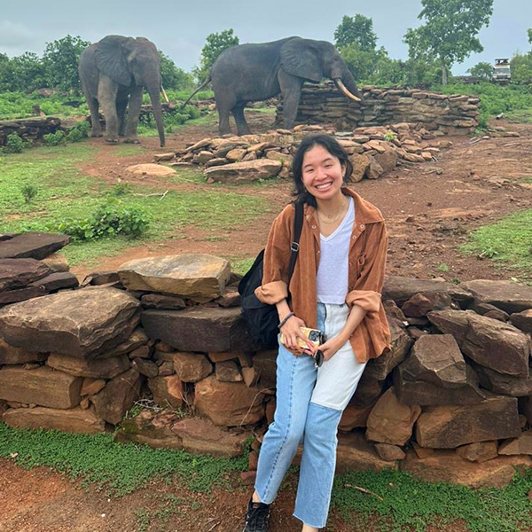 Woman standing infront of stone wall and elephants