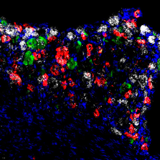 black backfround with bright red, blue, white green flecks.