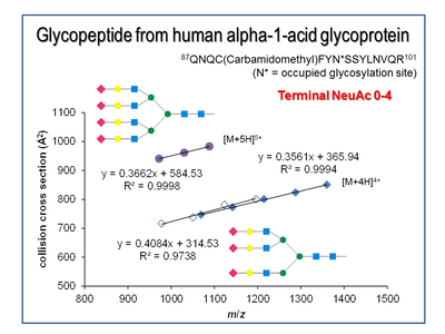 peptide from a1 glycoprotein NeuAc 0-4