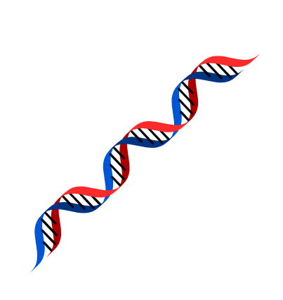 DNA