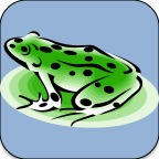 Frog icon