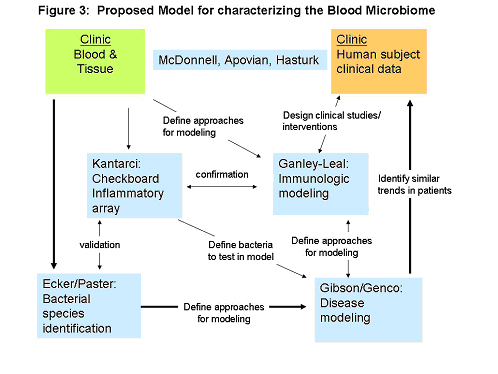 bloodmicro2