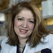 Rhoda M. Alani, MD