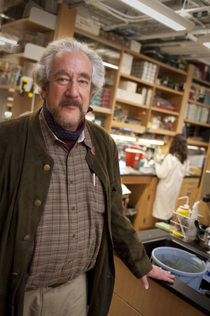 Richard Goldstein is inspired by a long-deceased but towering figure in science: Charles Darwin. Photo by Vernon Doucette