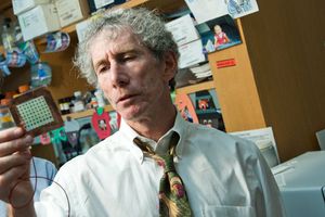 08-1859-145 David Sherr hopes to find an inhibitor drug that could halt some breast cancers from metastasizing while preventing others altogether. Photo by Kalman Zabarsky