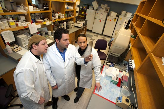 11-3425-STEMTEAM-016 Medical researchers Gustavo Mostoslavsky (from left), Darrell Kotton, and George Murphy are codirectors of BU’s Center for Regenerative Medicine. Last fall, the team created 100 new lung disease–specific cell lines that could lead to new treatments for diseases such as emphysema and cystic fibrosis. Photos by Vernon Doucette