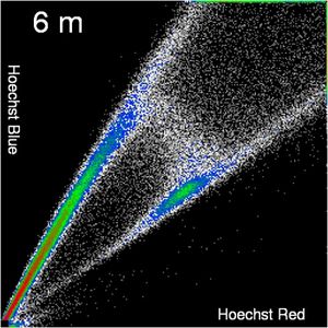 G Denis cytometry image sized Kinetic identification of “side populations”