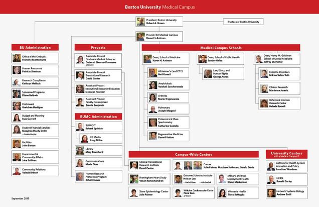 Boston University Organizational Chart