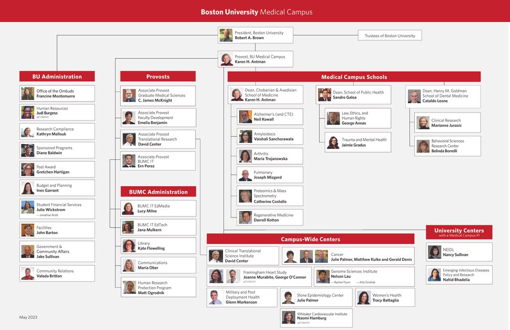 BUMC Organizational Chart