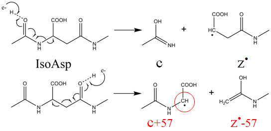 Diagnostic ion formation