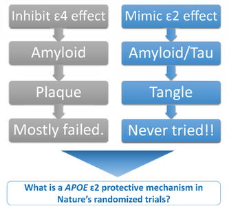 Novel Therapeutic Concept for APOE
