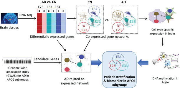 Integrated Genomics and Brain Omics Design