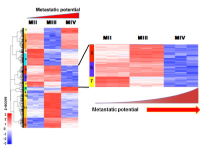 Identification of candidate BC metastasis suppressor genes