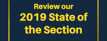 View the 2019 State of the Section