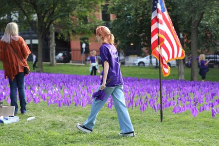 Purple flags and an American flag are planted in the green grass as people walk around them.
