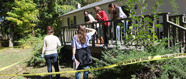 Students performing forensic field research