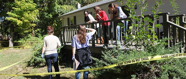 Students performing forensic field research