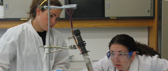 students working in lab