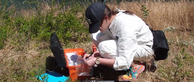 Student doing field research