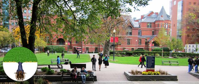 Boston University Campus